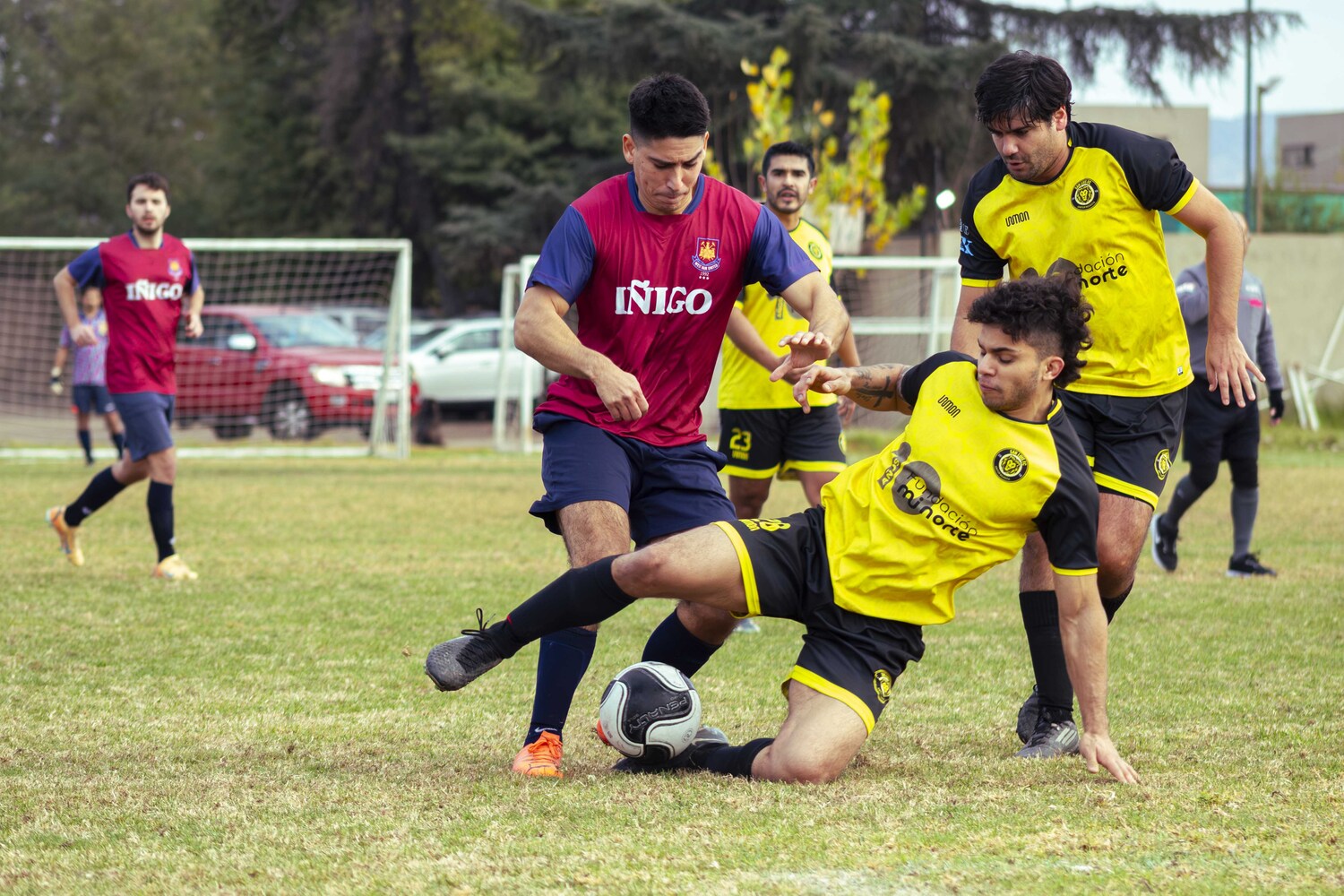 _MG_8442.jpg