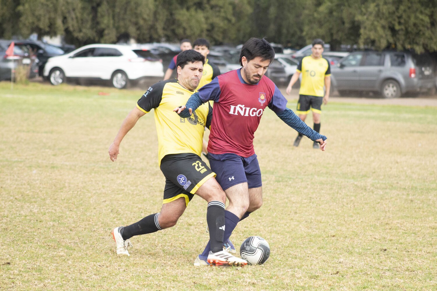 _MG_8454.jpg