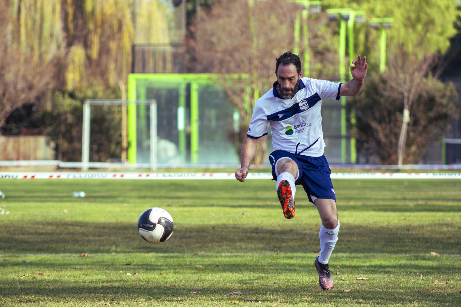 _MG_8534.jpg