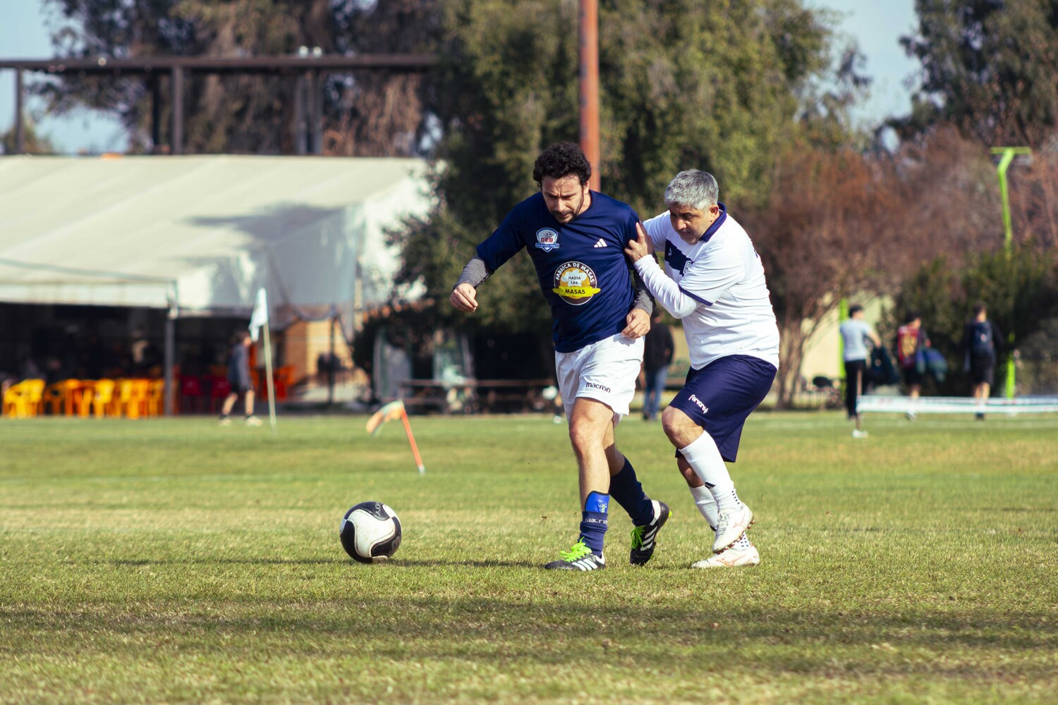 _MG_8544.jpg