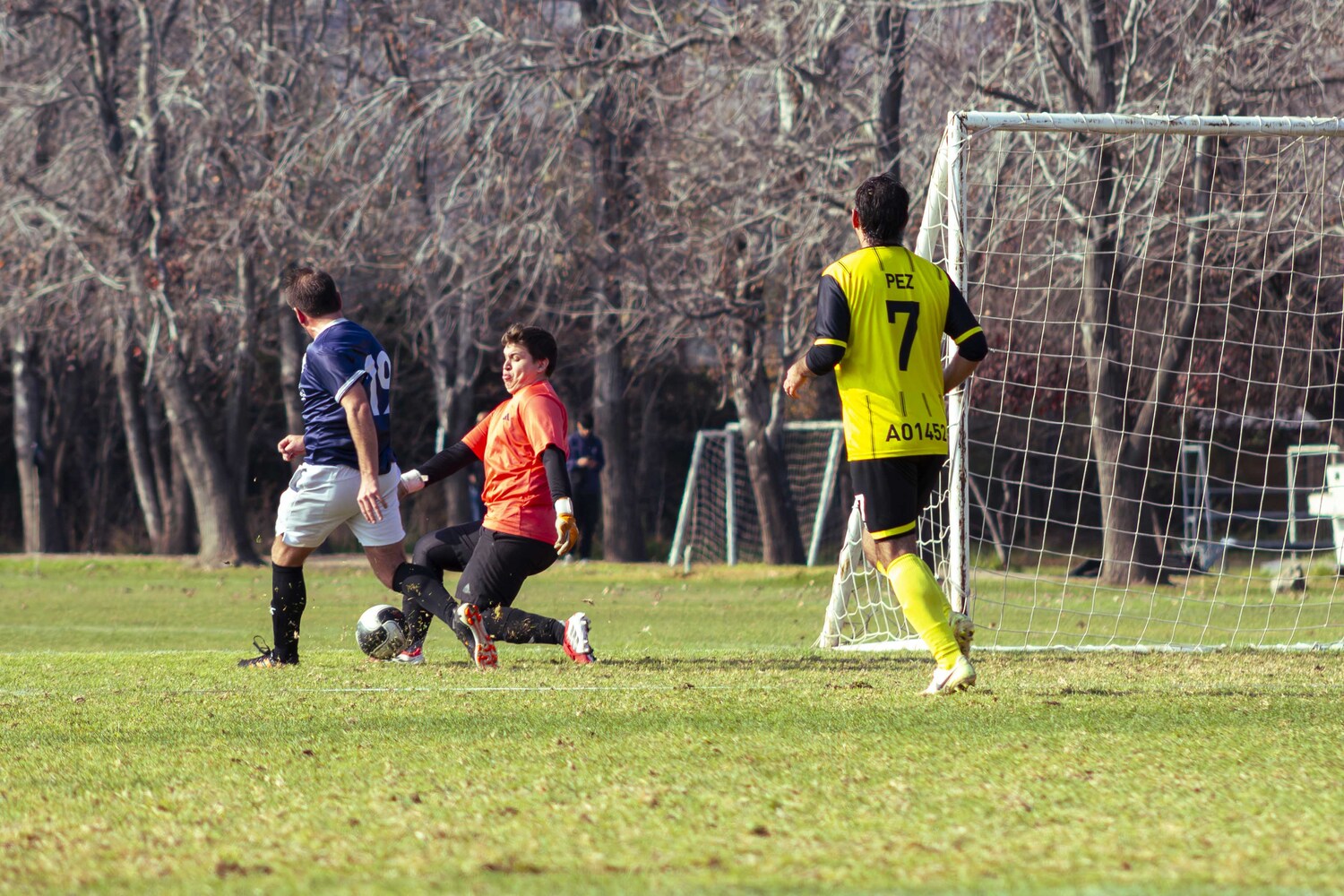 _MG_8563.jpg