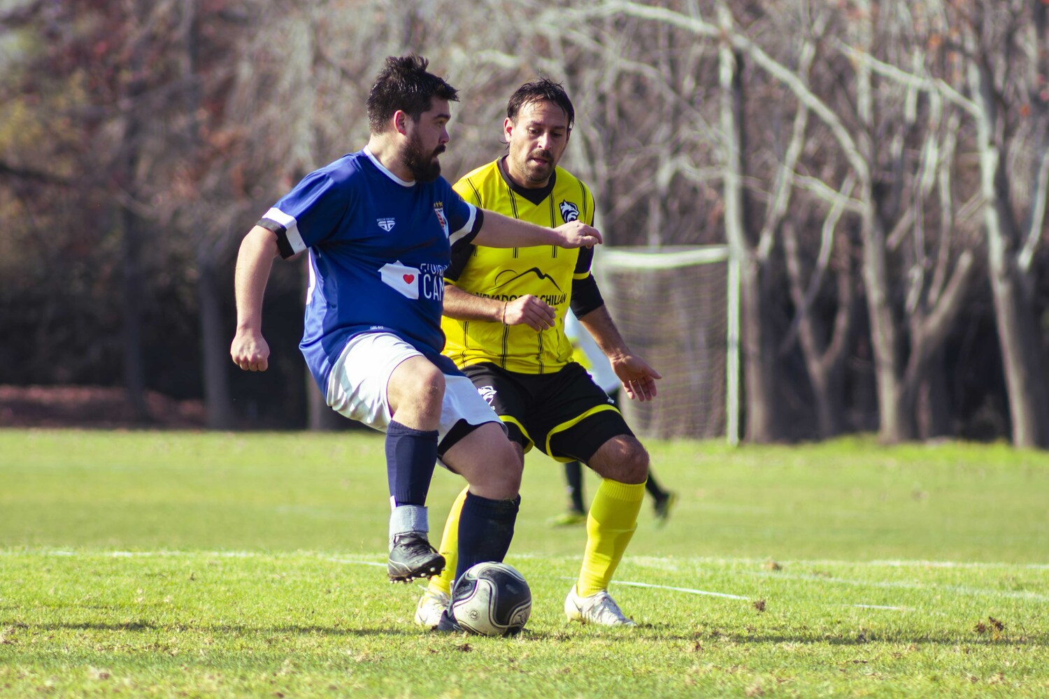_MG_8568.jpg