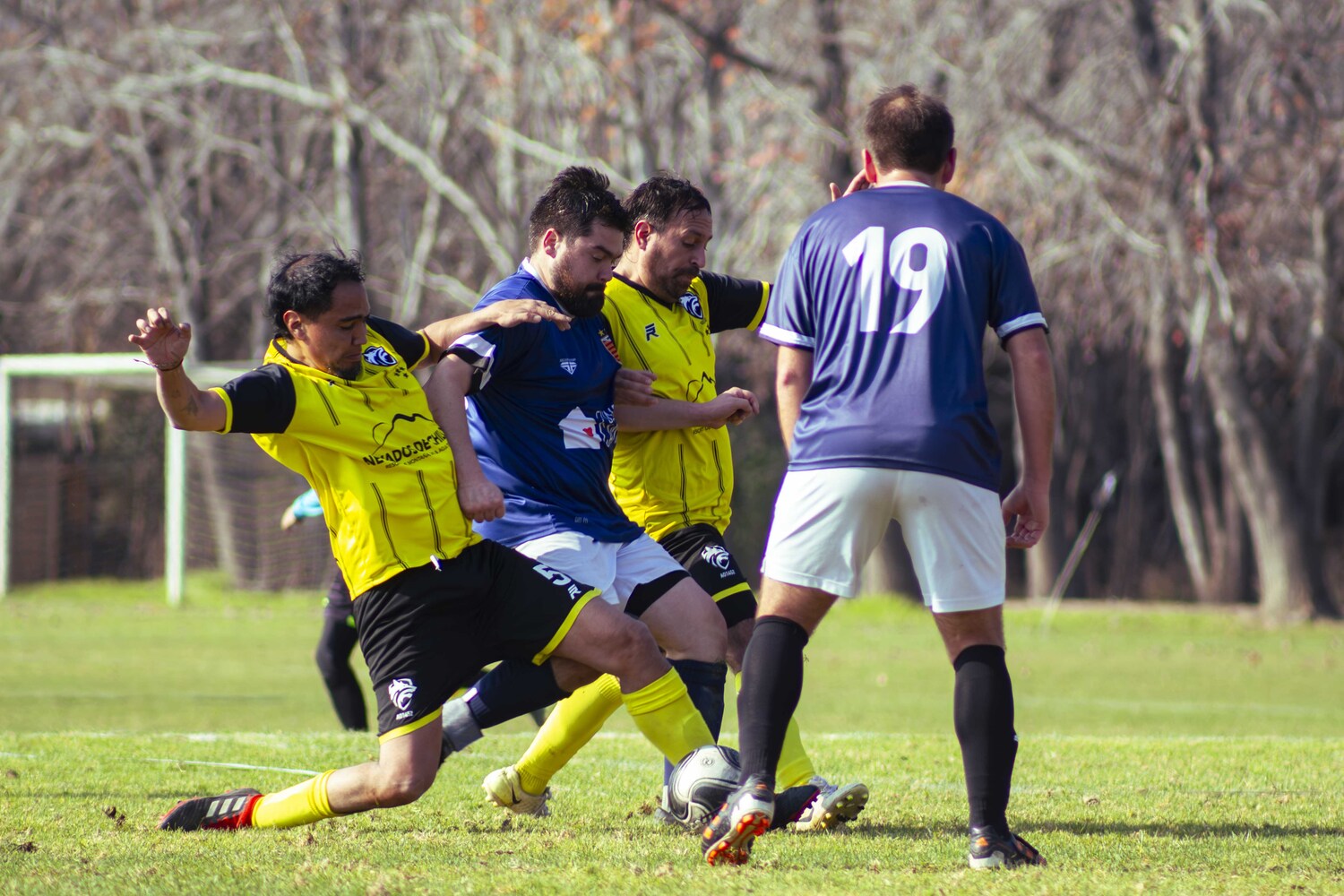 _MG_8569.jpg