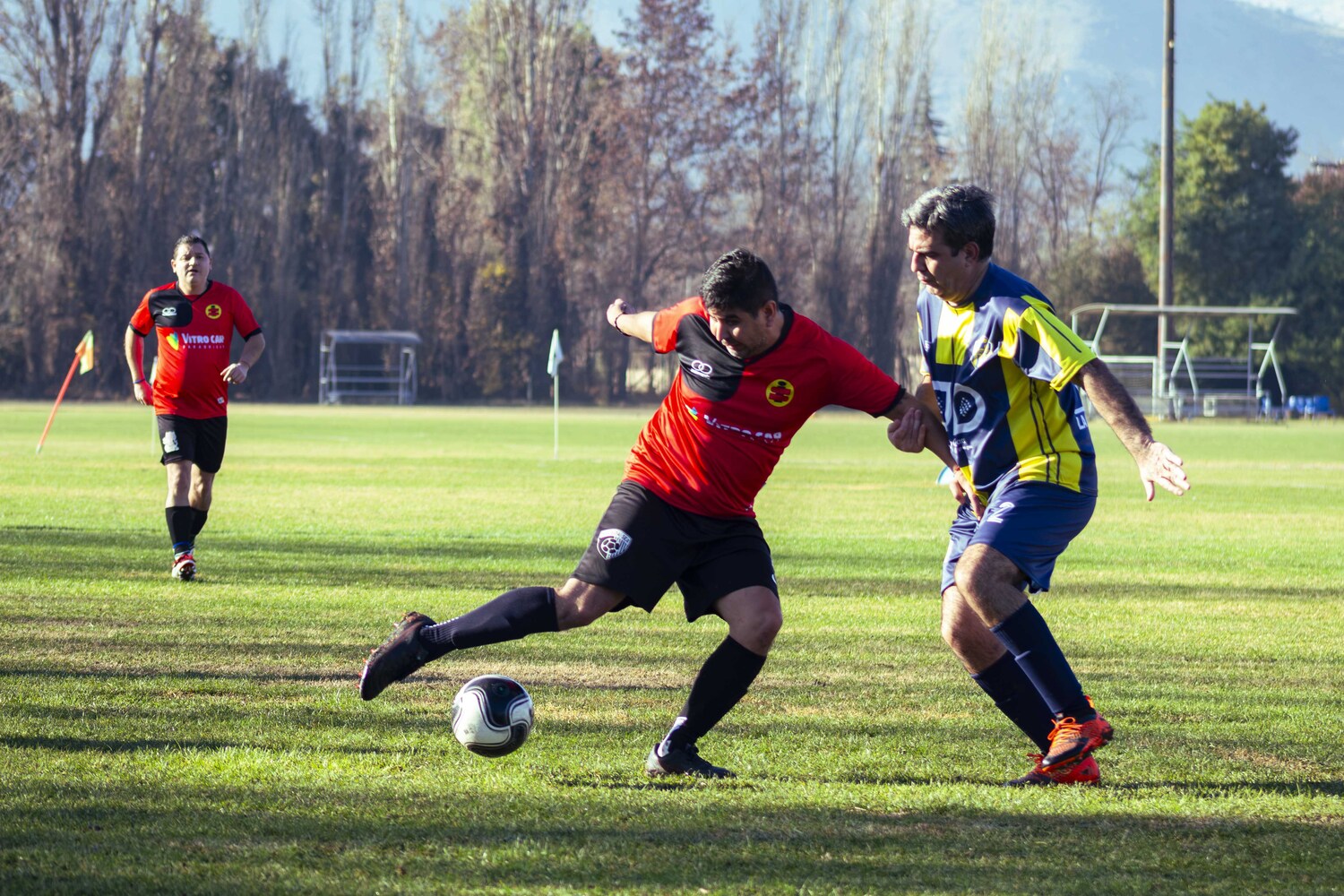 _MG_8686.jpg