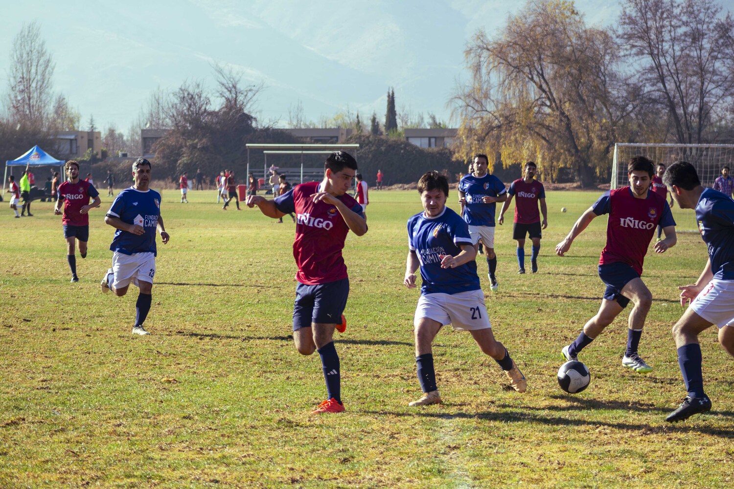 _MG_8728.jpg