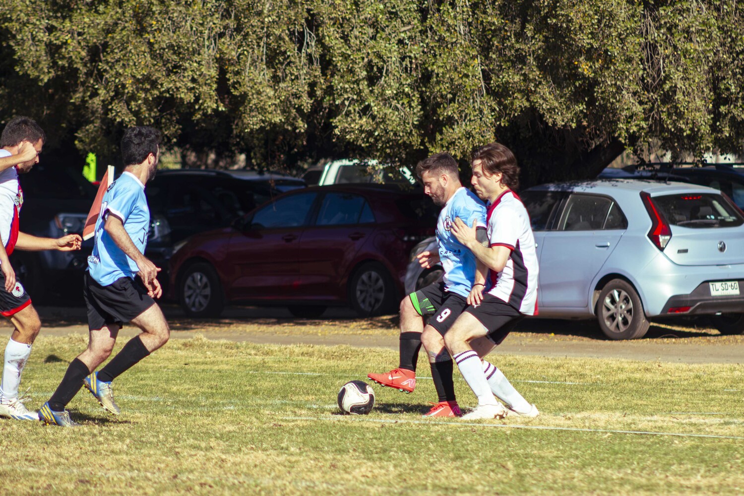 _MG_8761.jpg