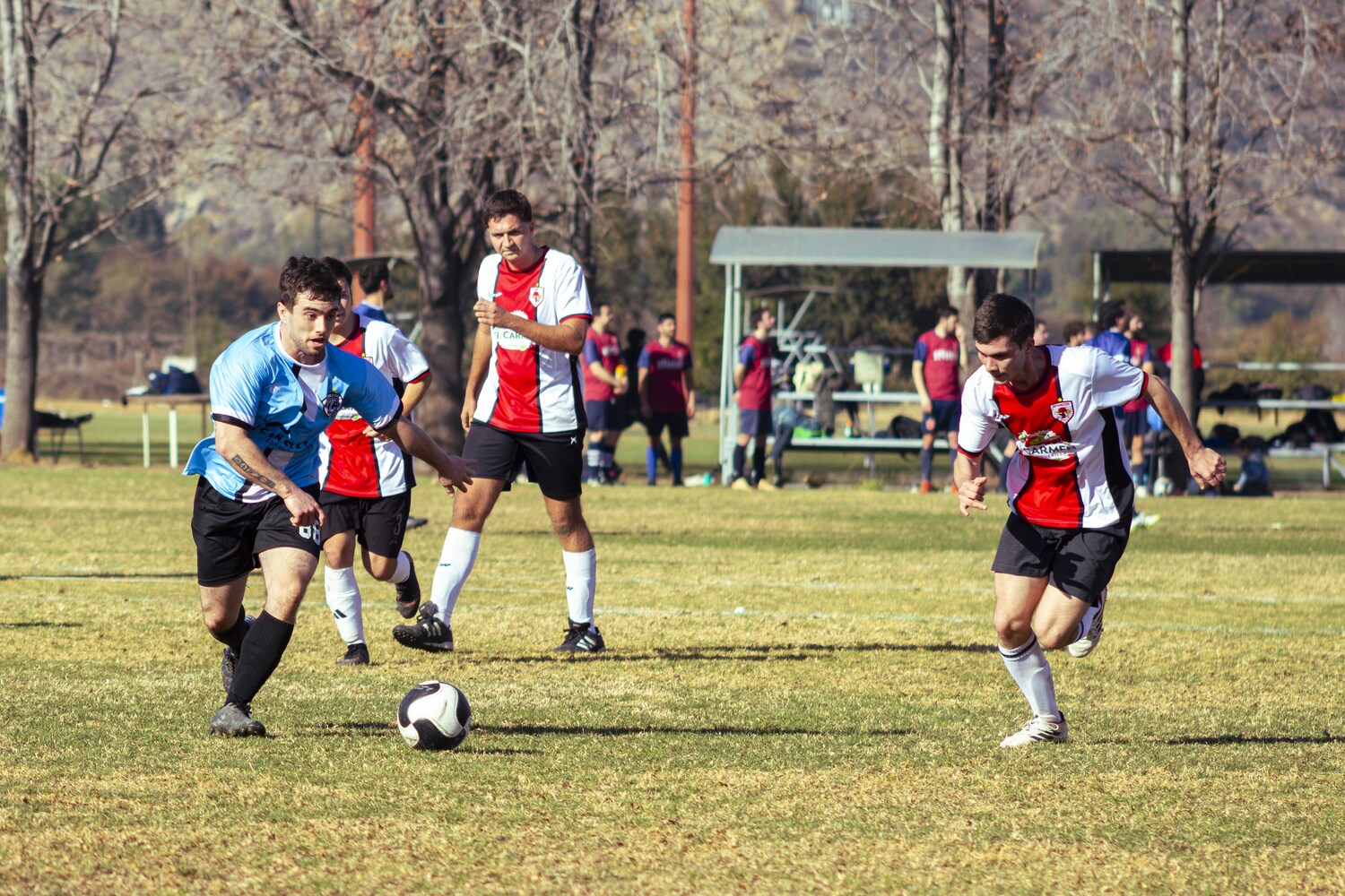_MG_8766.jpg
