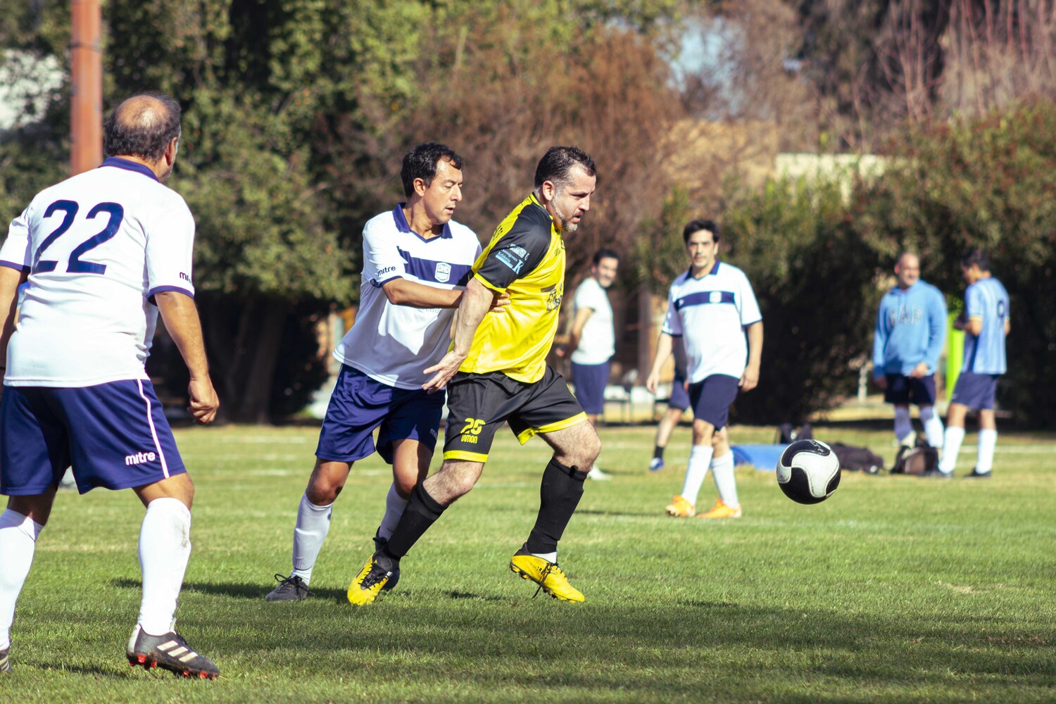 _MG_8808.jpg