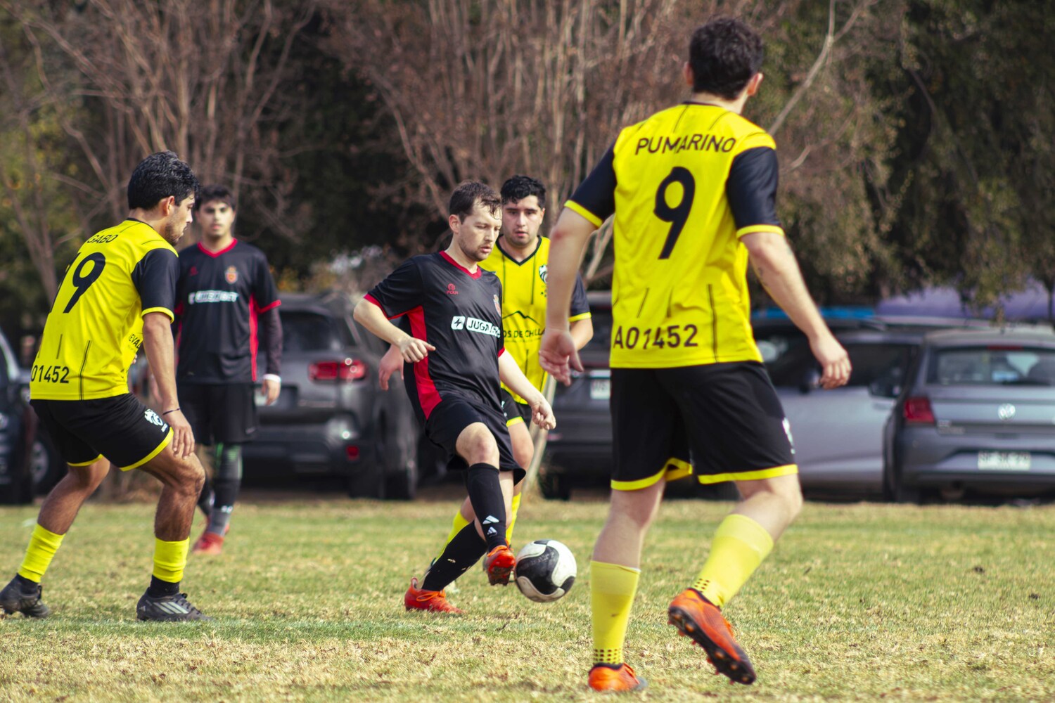 _MG_8849.jpg
